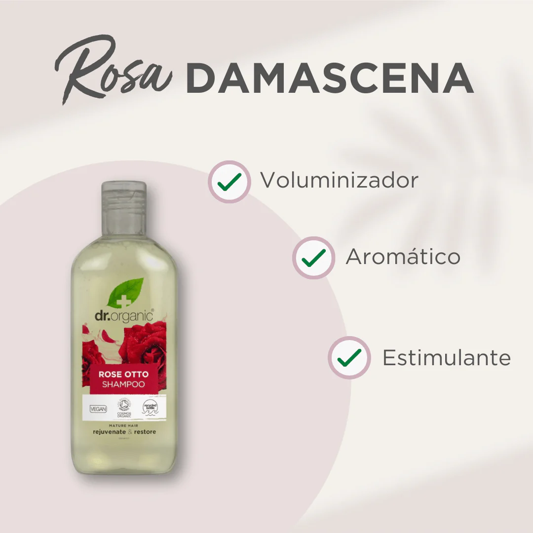 Champú Rosa Damascena para cabello seco y sin volumen 265ml - Imagen 2